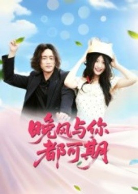 晚风与你都可期